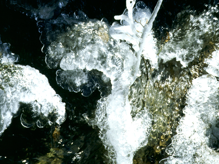 Série Terre des glaces, Clin d oeil à Joan Miro