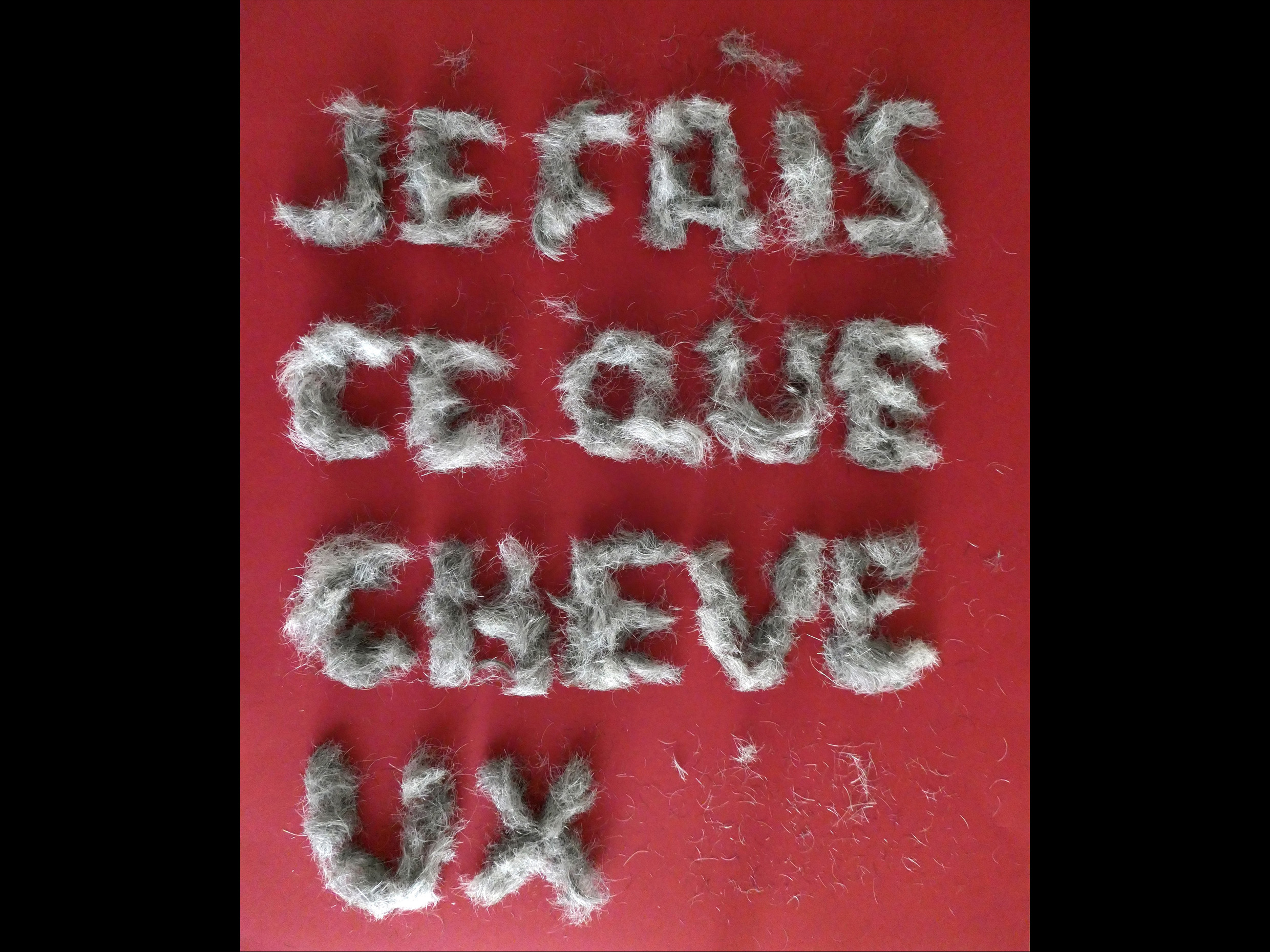 Jean-Claude Loubières 'Je fais ce que cheveux'