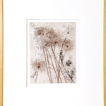 Plante 1