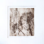 Plante 3