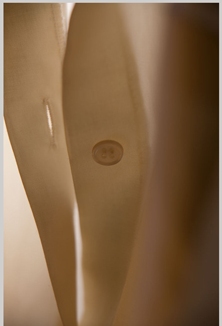 Forty Plus, Afternoon gaze